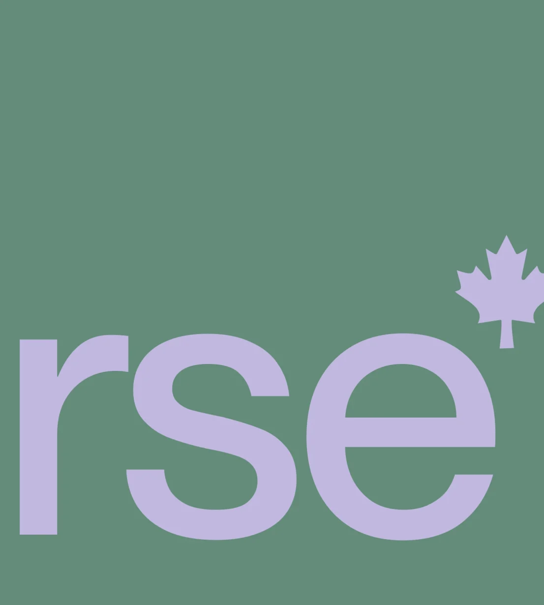 Lire l'article: RSE et présence numérique : votre site web reflète-t-il vraiment vos valeurs?